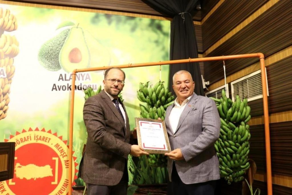 Antalya haber… Coğrafi işaretli muzun logosunu Alanya halkı seçecek